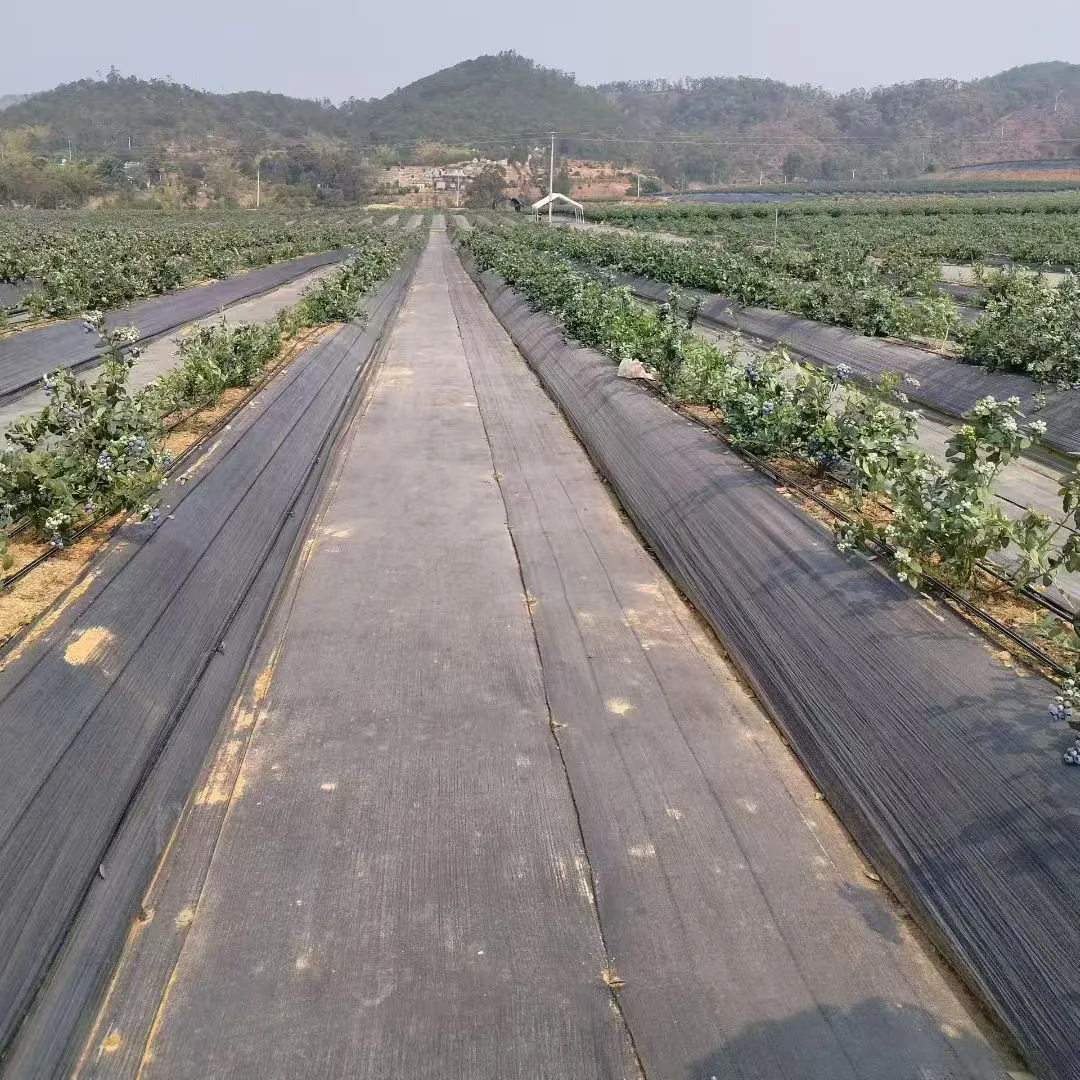 Biohajoava Weed Barrier -kangas