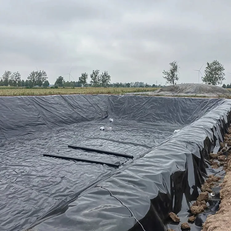 Biogas Digester Geomembrane