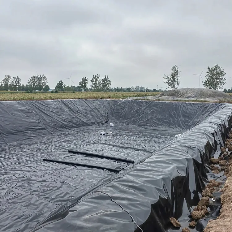 Kalalampi Geomembrane Liner