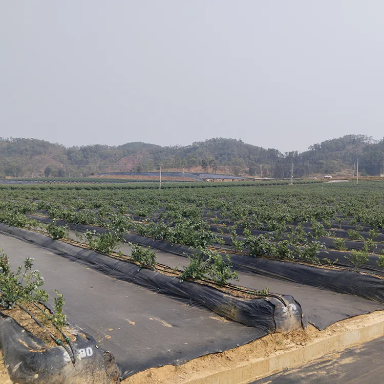 UV Resistant Landscape Fabric