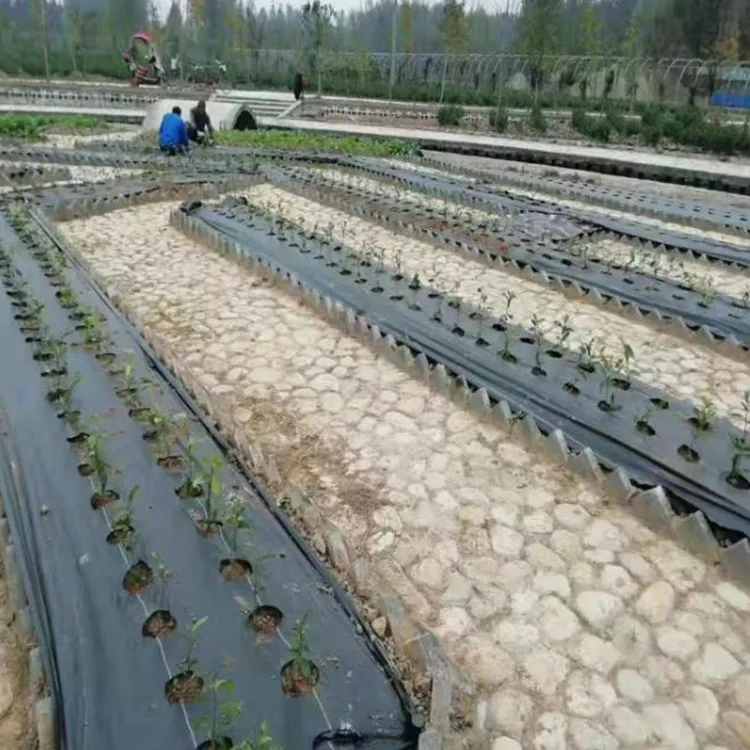 Perforated Weed Control Fabric