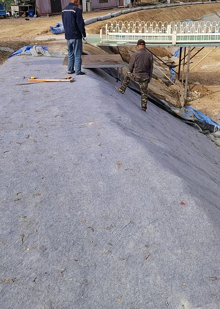 Aquaculture Pond Concrete Blanket