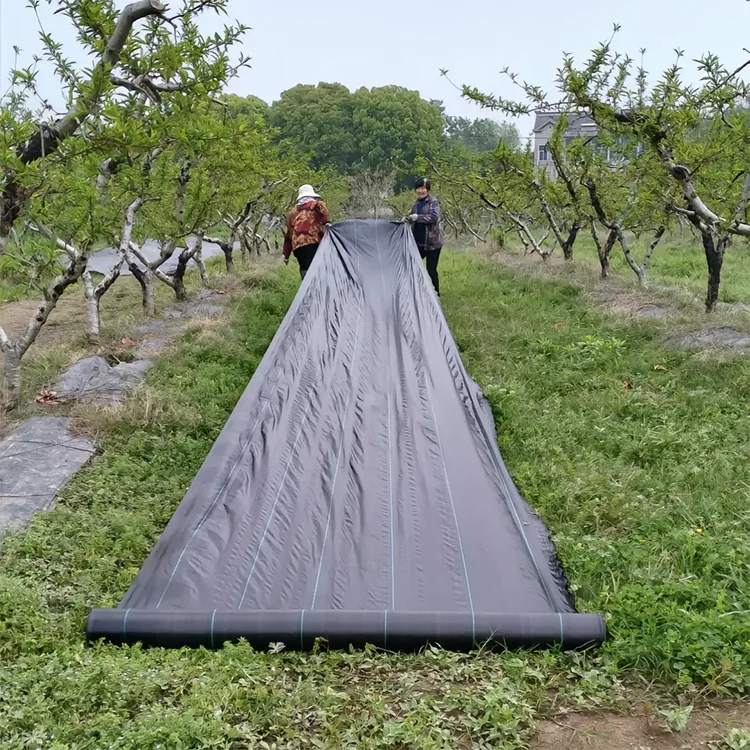 Biodegradable Agricultural Weed Barrier Fabric