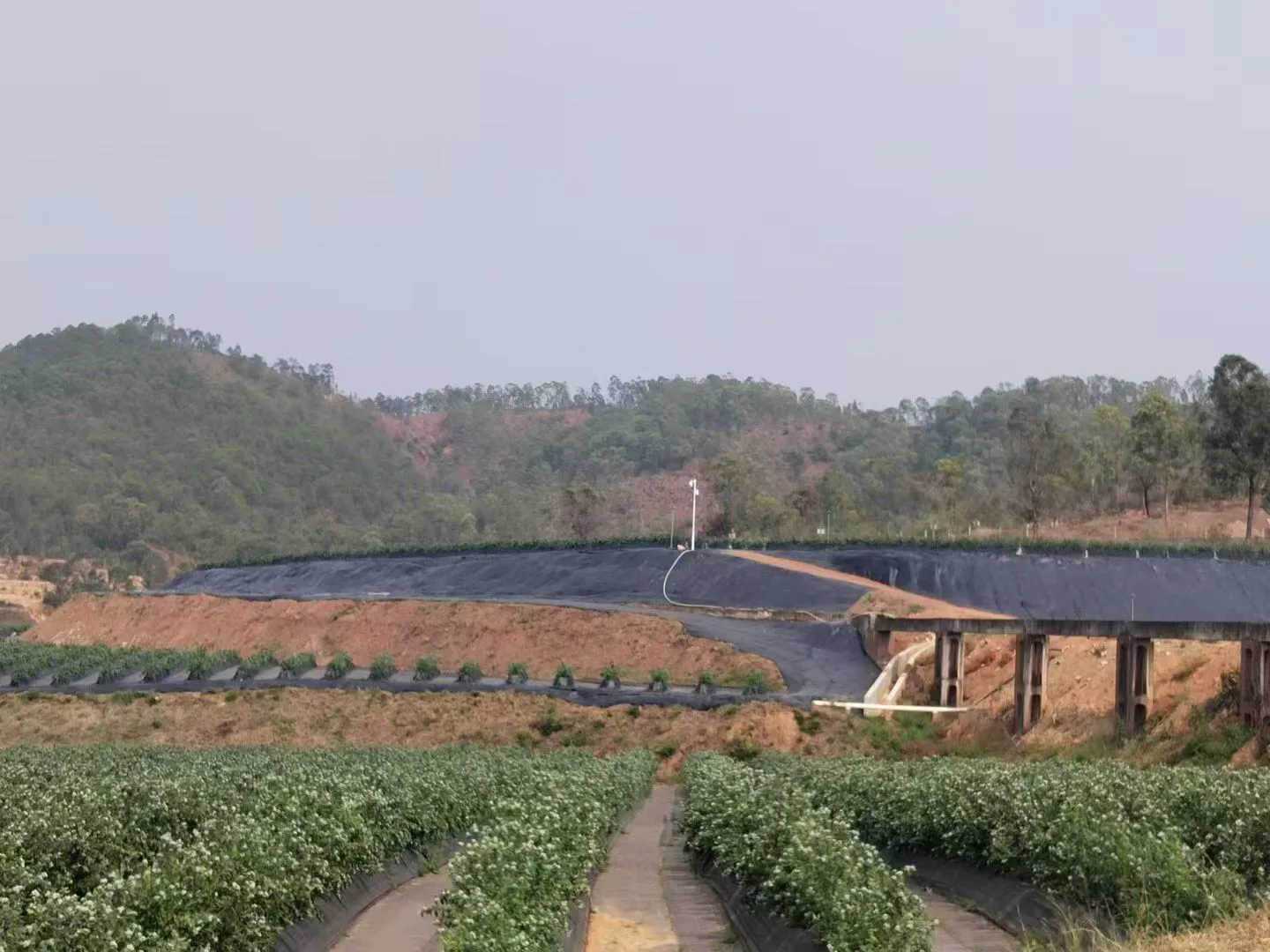 Herbal Medicine Weed Barrier Fabric